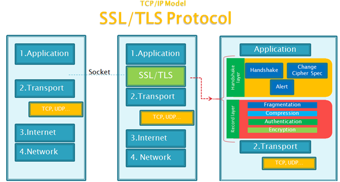 SSL/TLS的网络体系结构模型