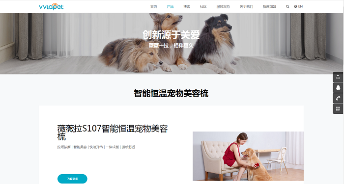 薇薇拉网站建设